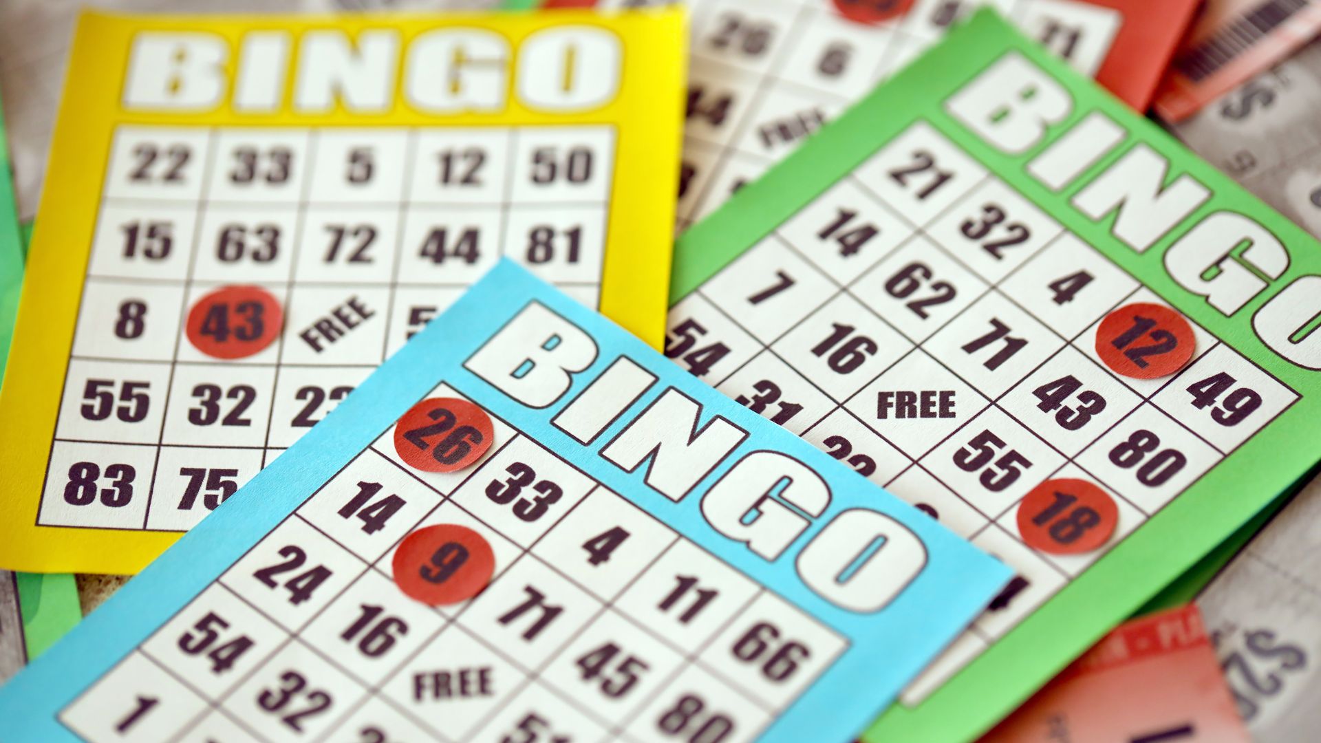 Bingo Cards